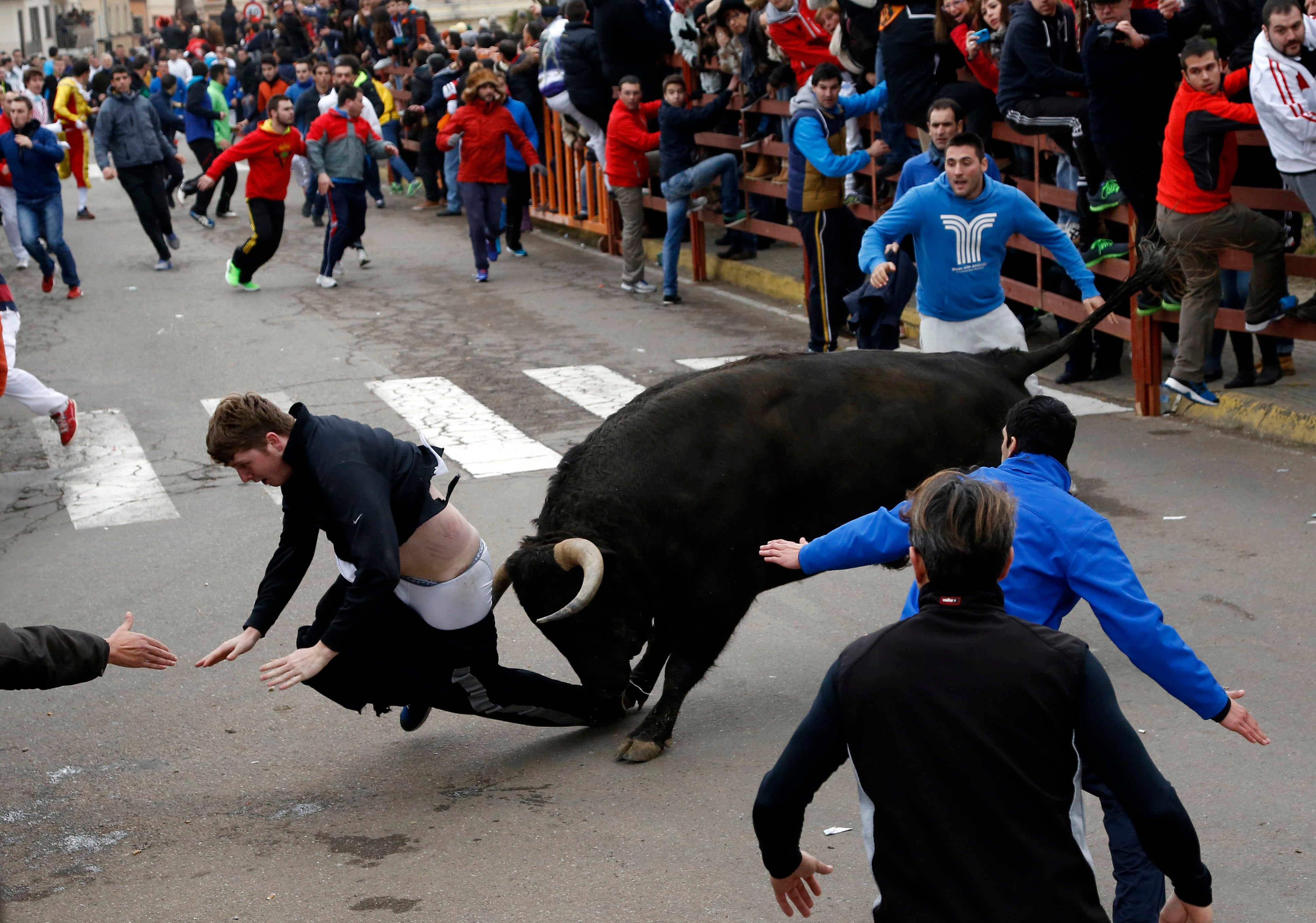 bullfighting accidents