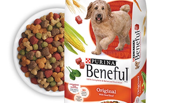 is purina safe for dogs