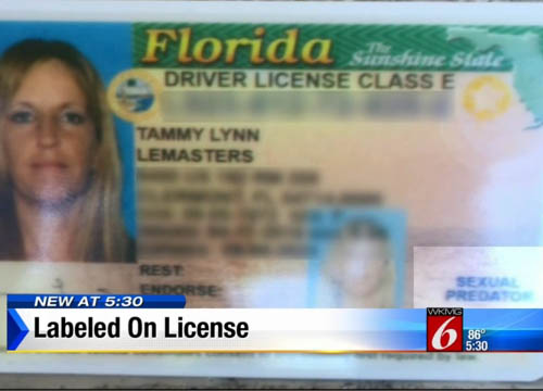orlando drivers license check