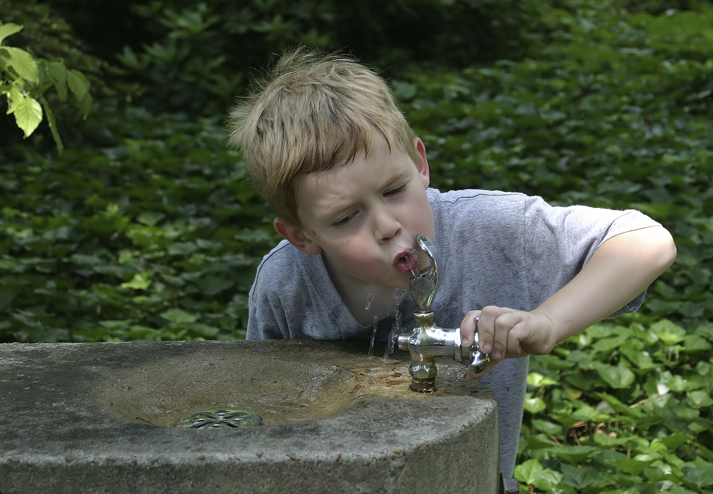 kid drinking water from fountain