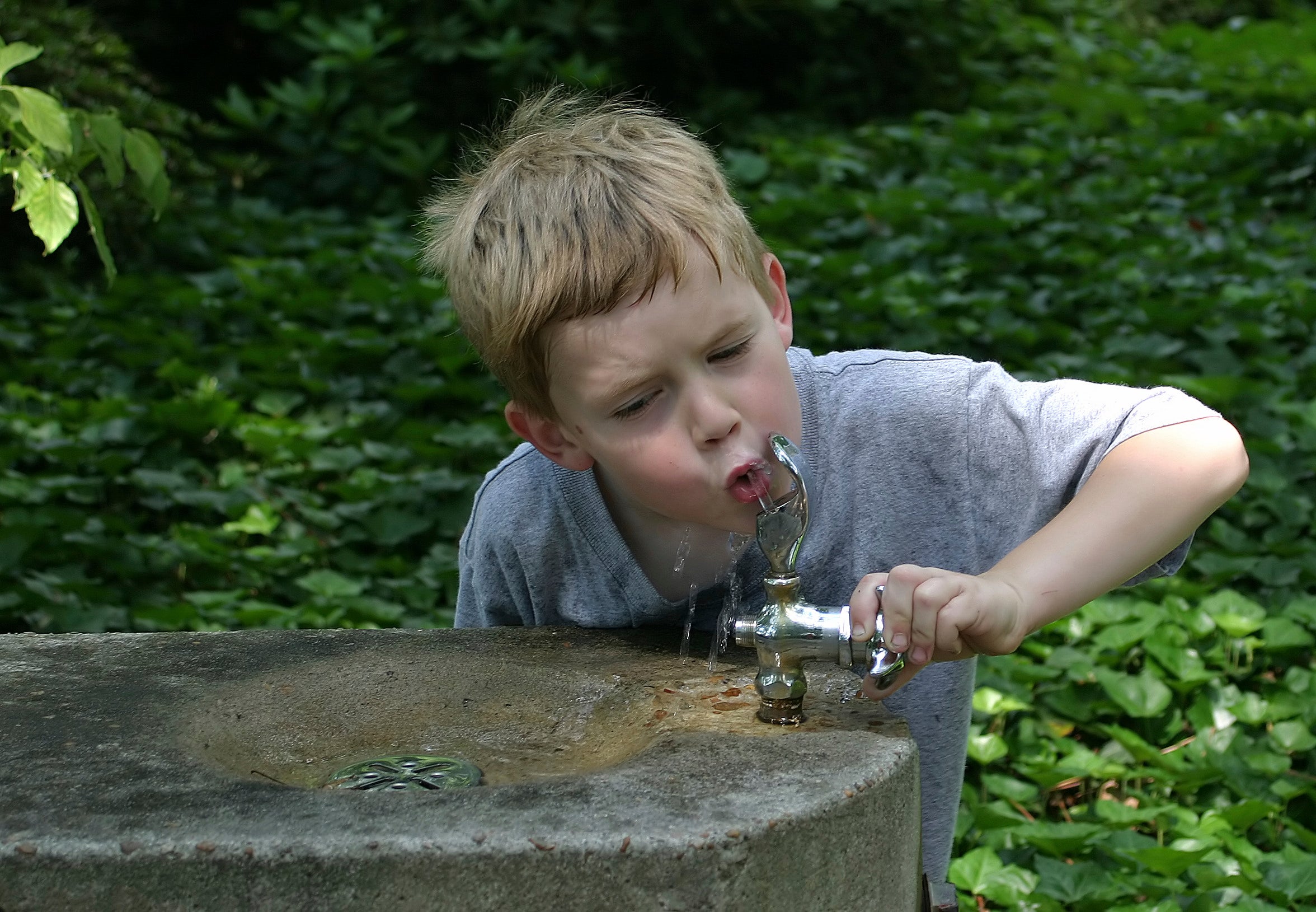 kid drinking water from fountain