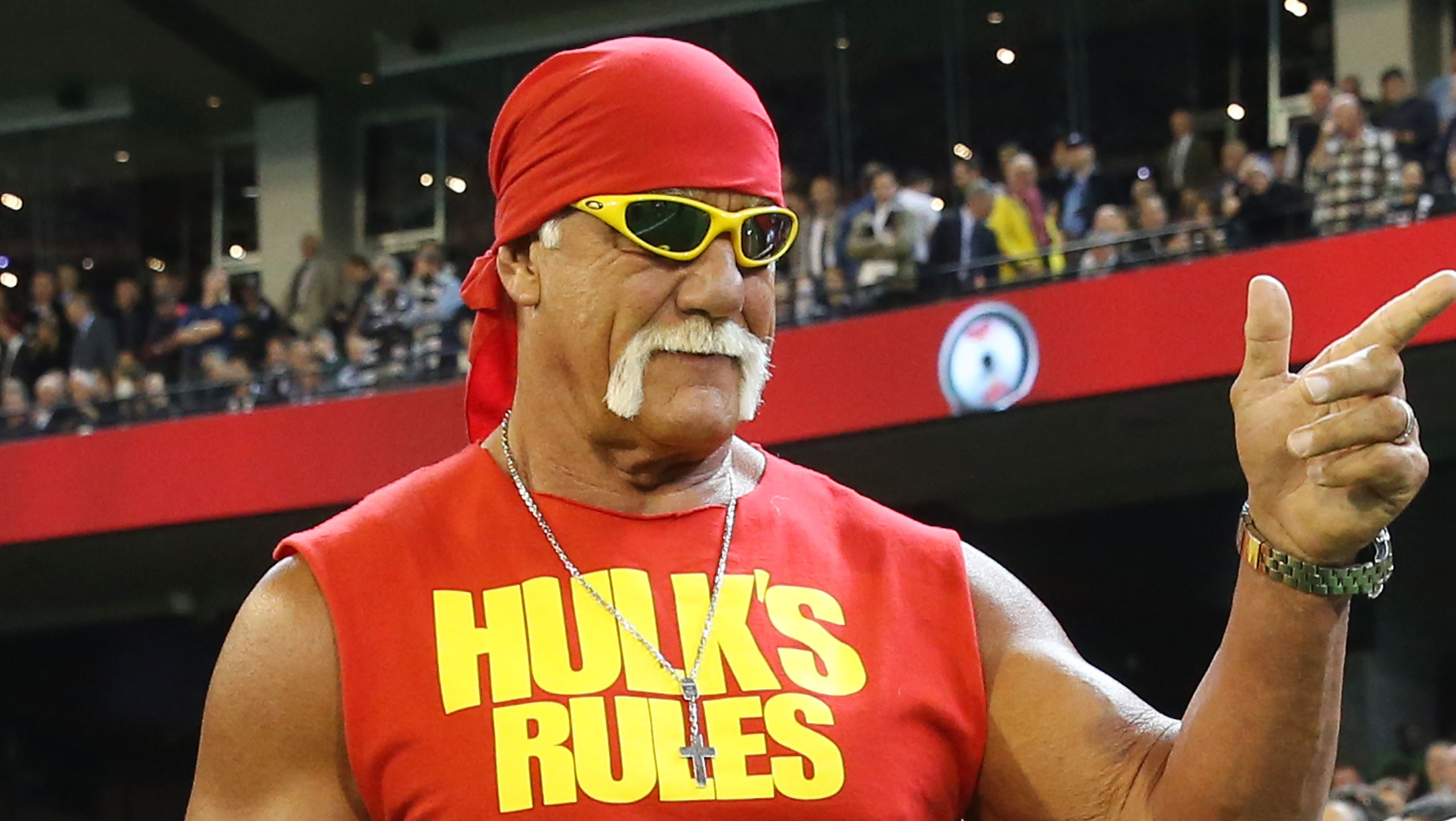 Hulk Hogan terminated by WWE following report of racist rant photo