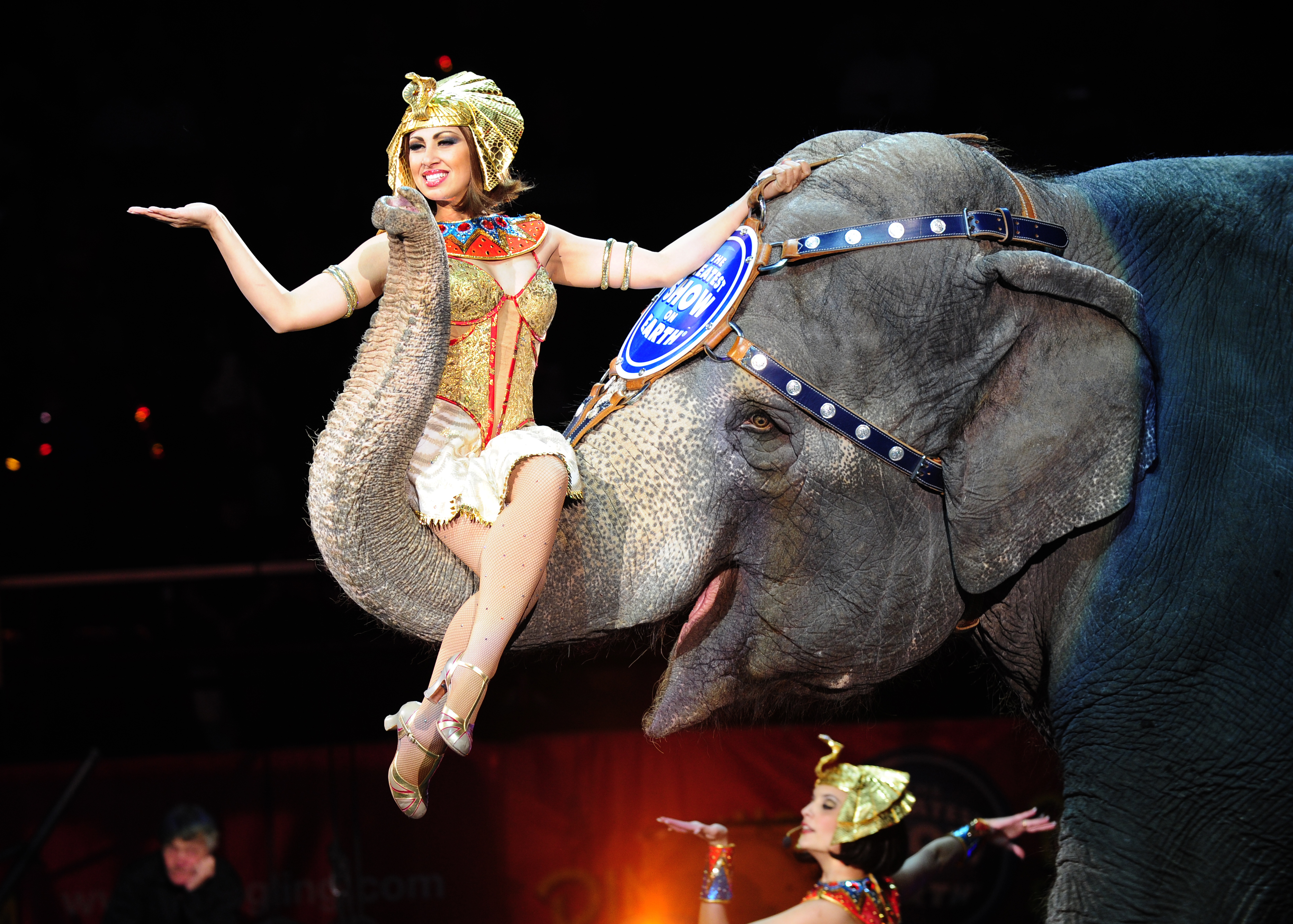 Ringling Bro. circus elephants take final bow - CBS News