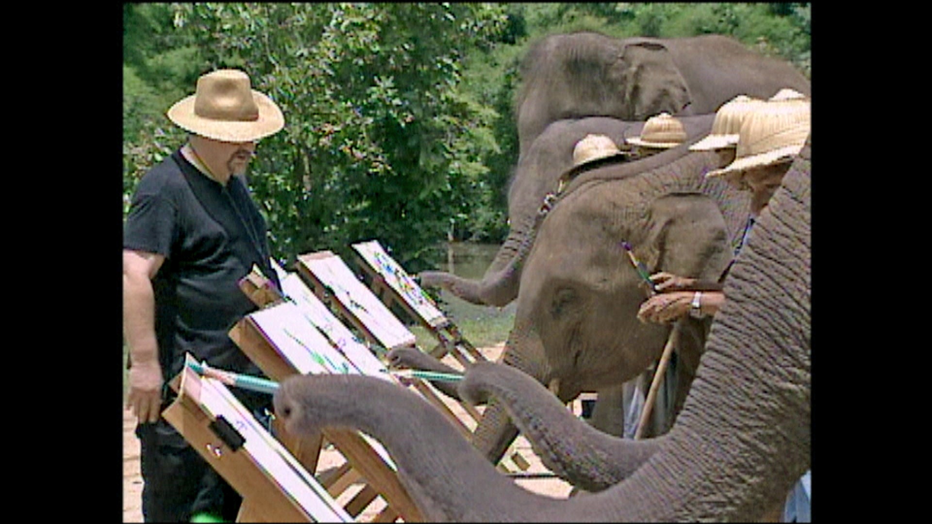 Stroke of genius Can elephants make art? CBS News