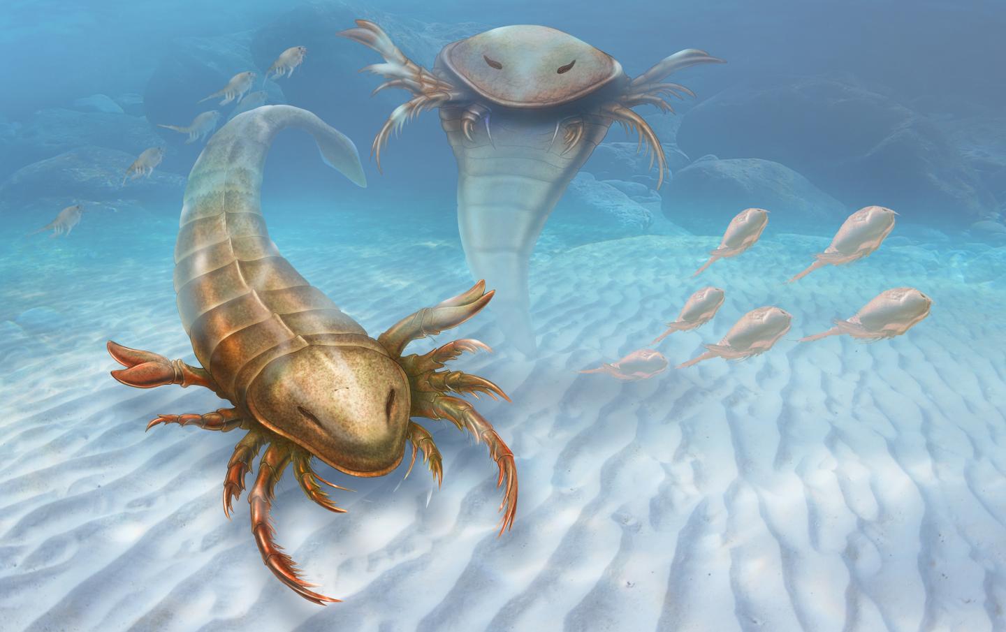Fossil shows giant sea bug dominated prehistoric waters - CBS News