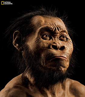This March 2015 photo provided by National Geographic from their October 2015 issue shows a reconstruction of Homo naledi's face by paleoartist John Gurche at his studio in Trumansburg, N.Y. Scientists say fossils found deep in a South African cave revealed the new member of the human family tree 