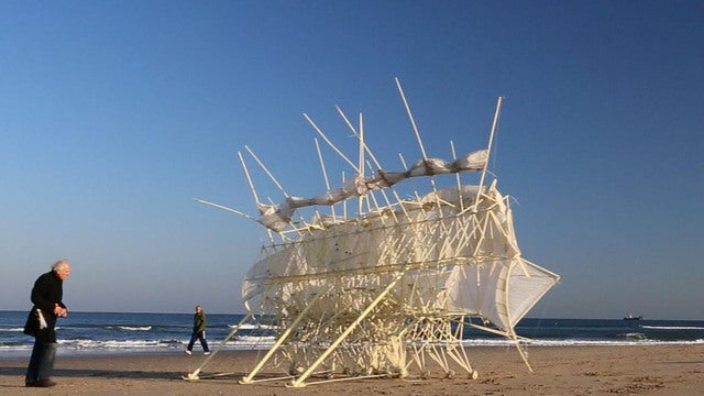 On the beach with Strandbeest; Kinetic sculpture to roam in advance of  Peabody Essex exhibit, Lifestyle