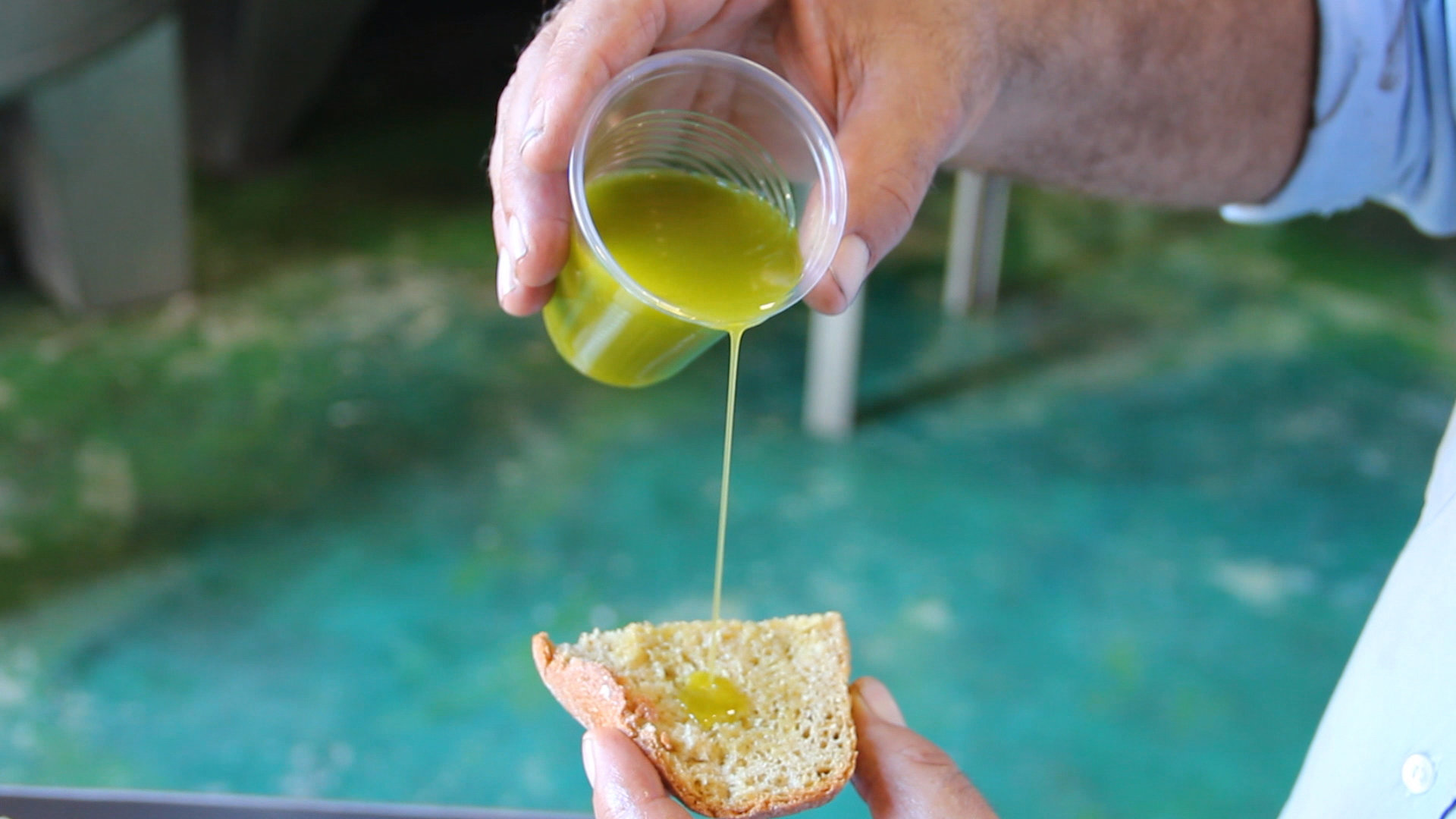 Dont fall victim to olive oil fraud