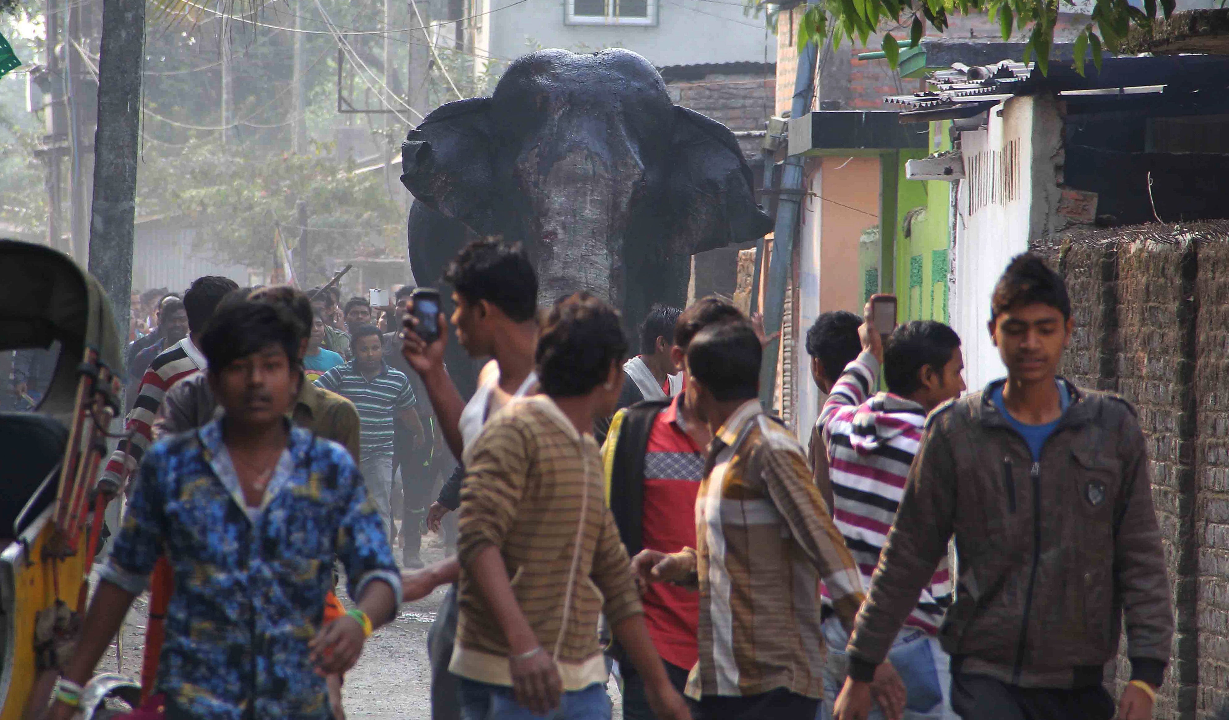 Elephant attacks kill several people in India - CBS News