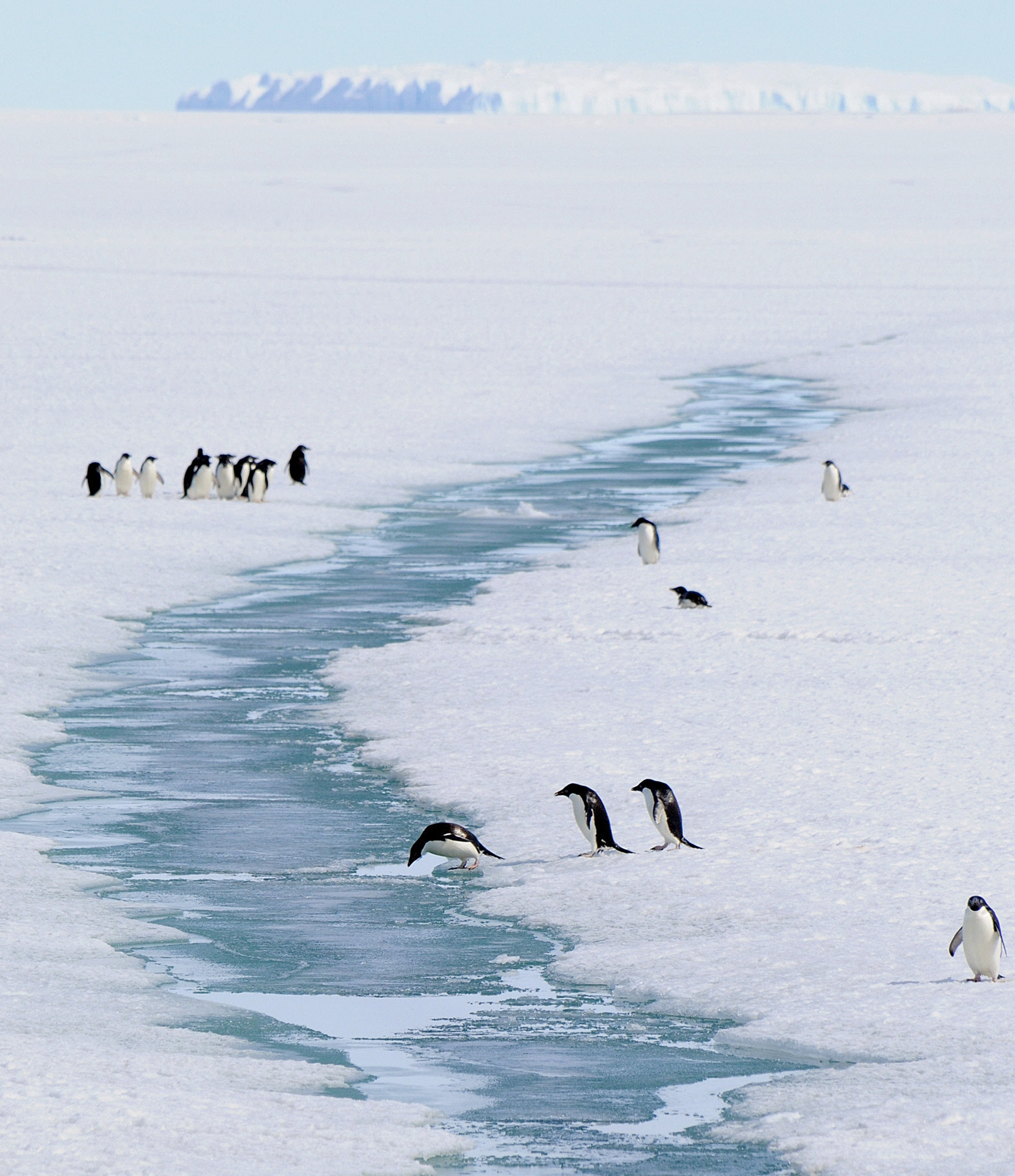 world-s-largest-marine-protected-area-created-in-antarctica-cbs-news