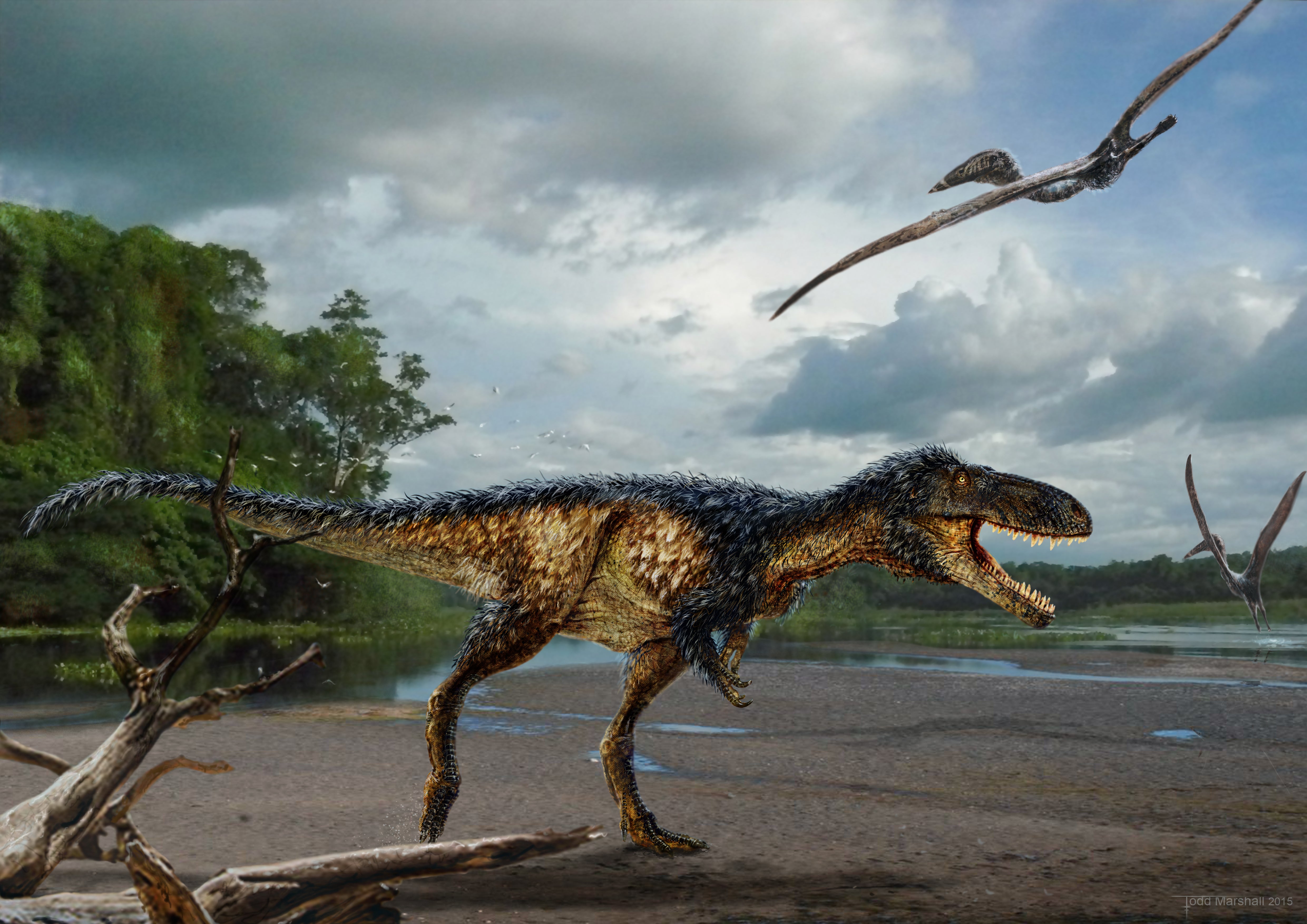 T. rex couldn't run, research on Tyrannosaurus rex at University of  Manchester shows - CBS News