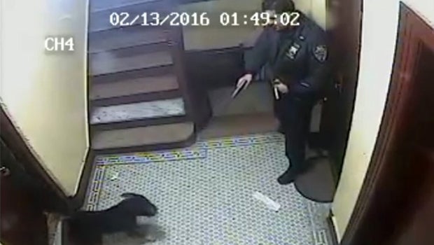 Dog shot dead by New York police officer for no reason, Bronx woman ...