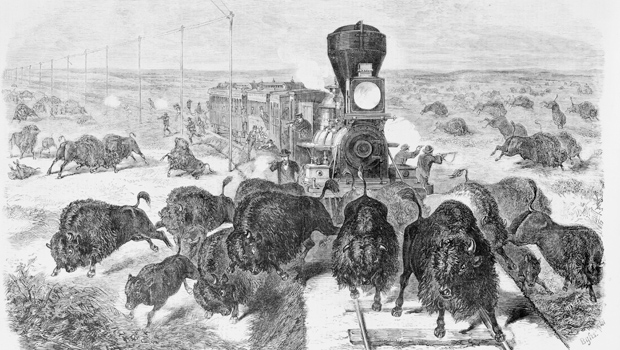 shooting-buffalo-on-the-line-of-the-kansas-pacific-railroad-1871-620.jpg 