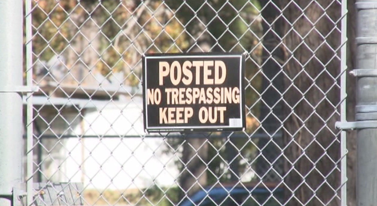 Freedom Fleeting For 19 Escaped Lab Monkeys In S.C. - CBS News