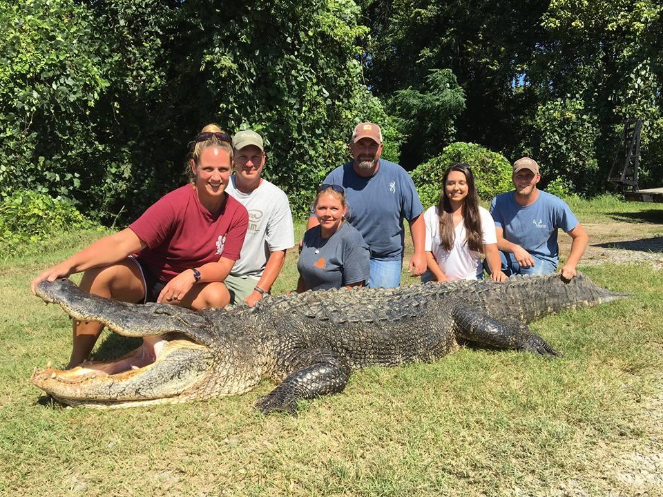 Woman catches Mississippi's longest alligator on record CBS News
