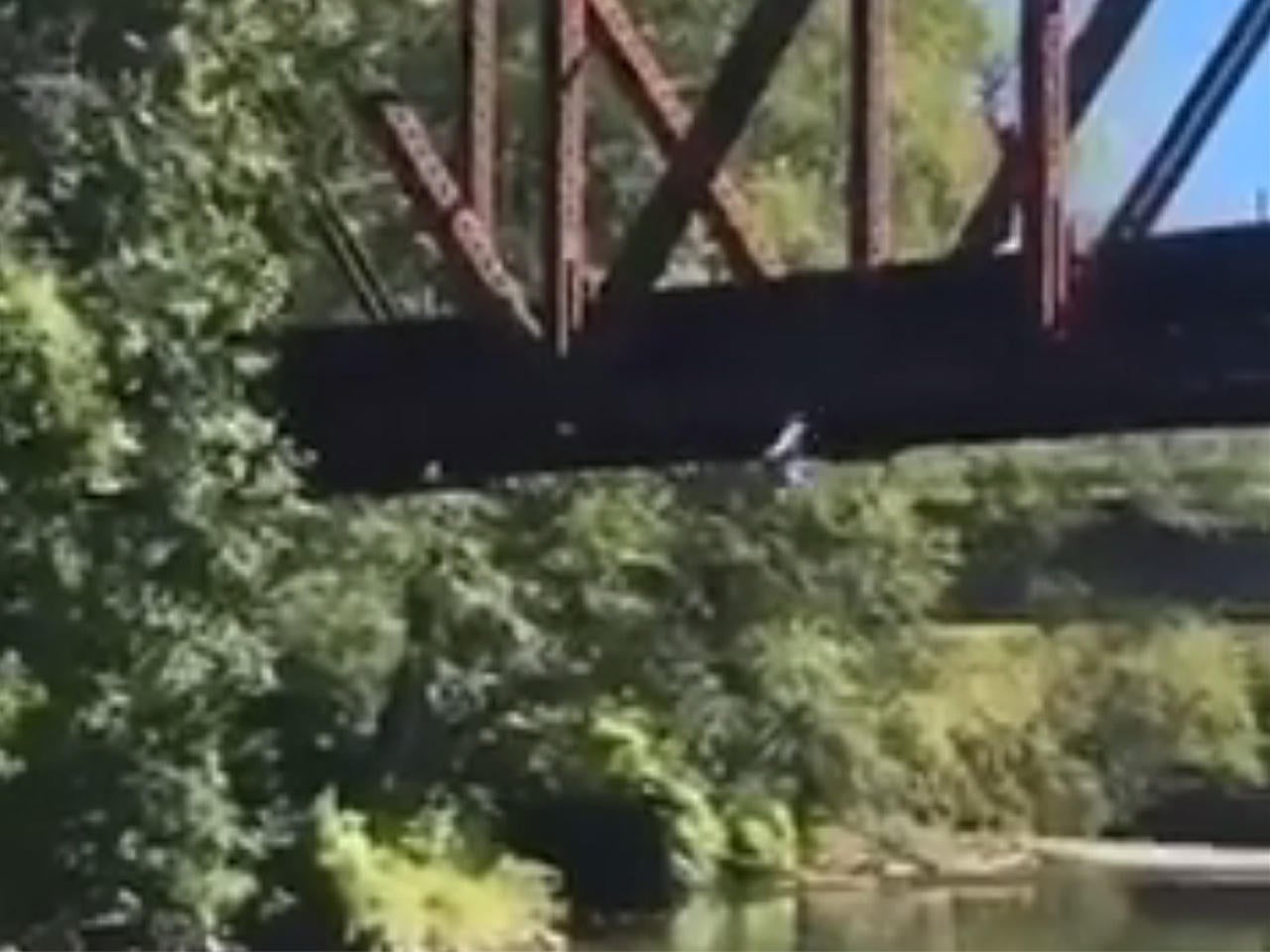 Video shows boy thrown off rail bridge into Wynoochee River near