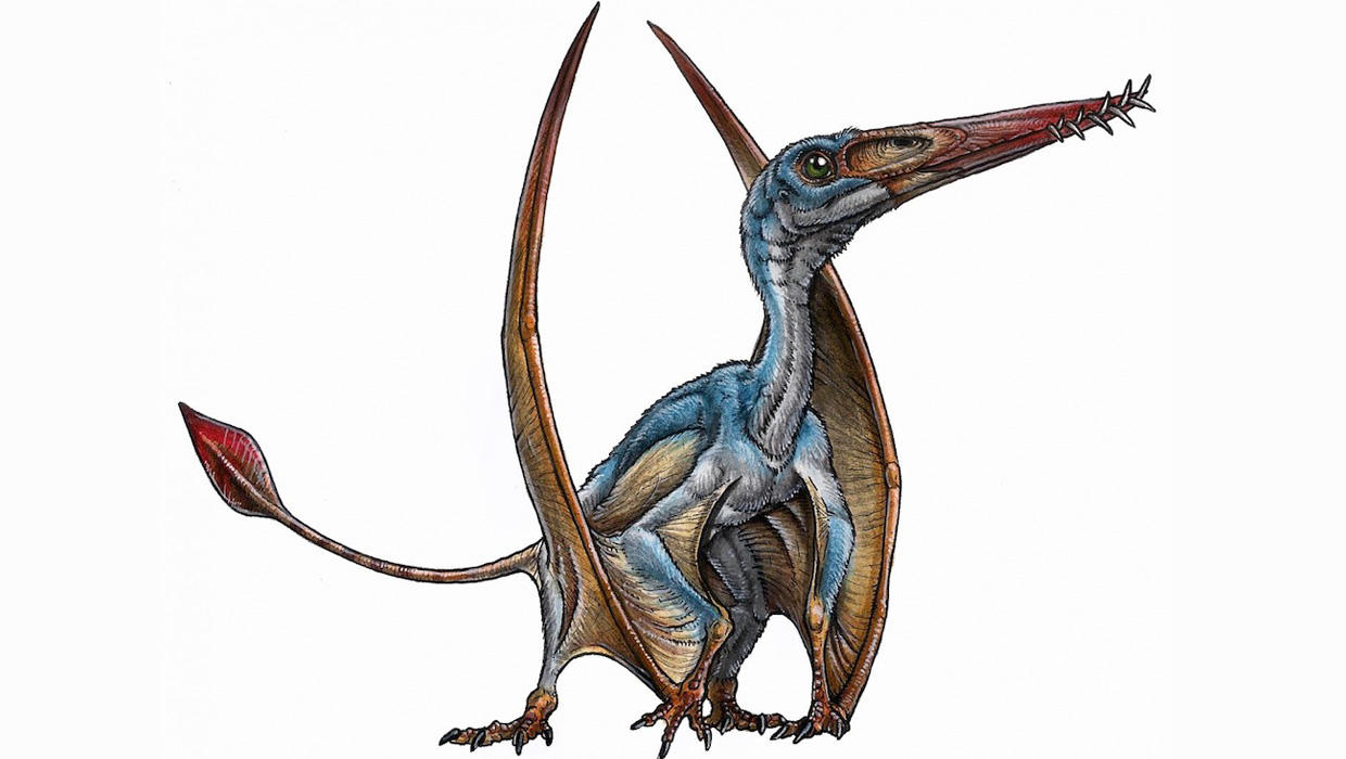 Pterodactyl Pteranodon Image & Photo (Free Trial)