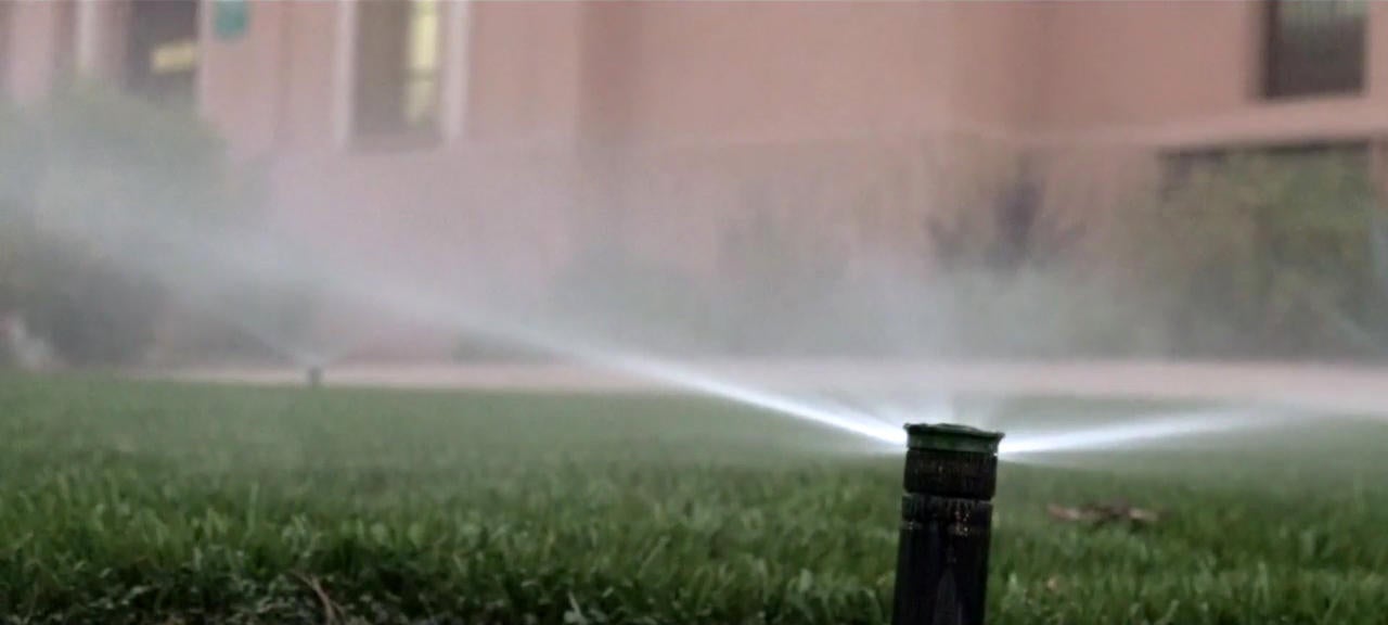 Amid California drought, Los Angeles water department waters fake grass ...