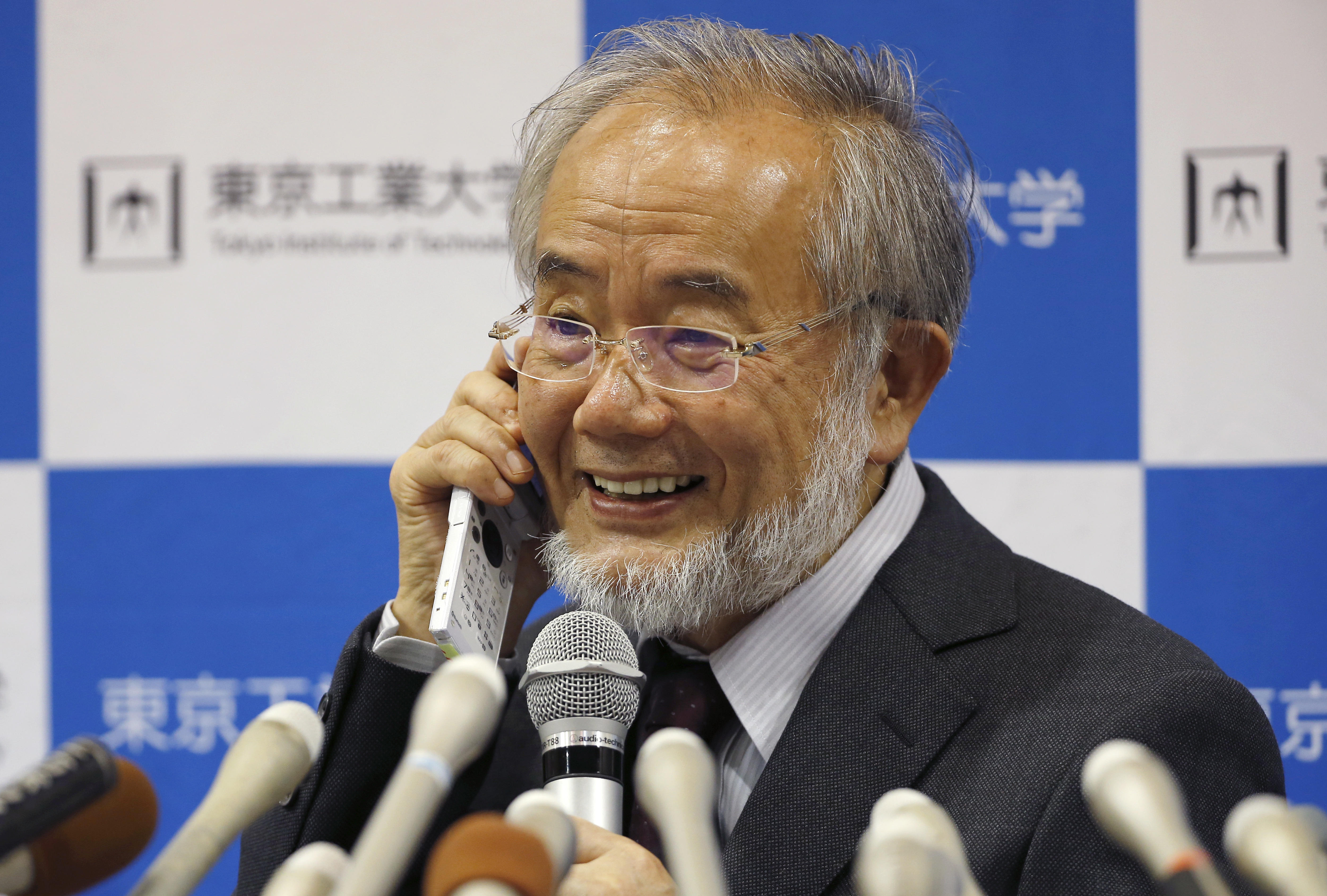 Yoshinori Ohsumi of Japan Wins Nobel Prize for Study of 'Self-Eating' Cells  - The New York Times