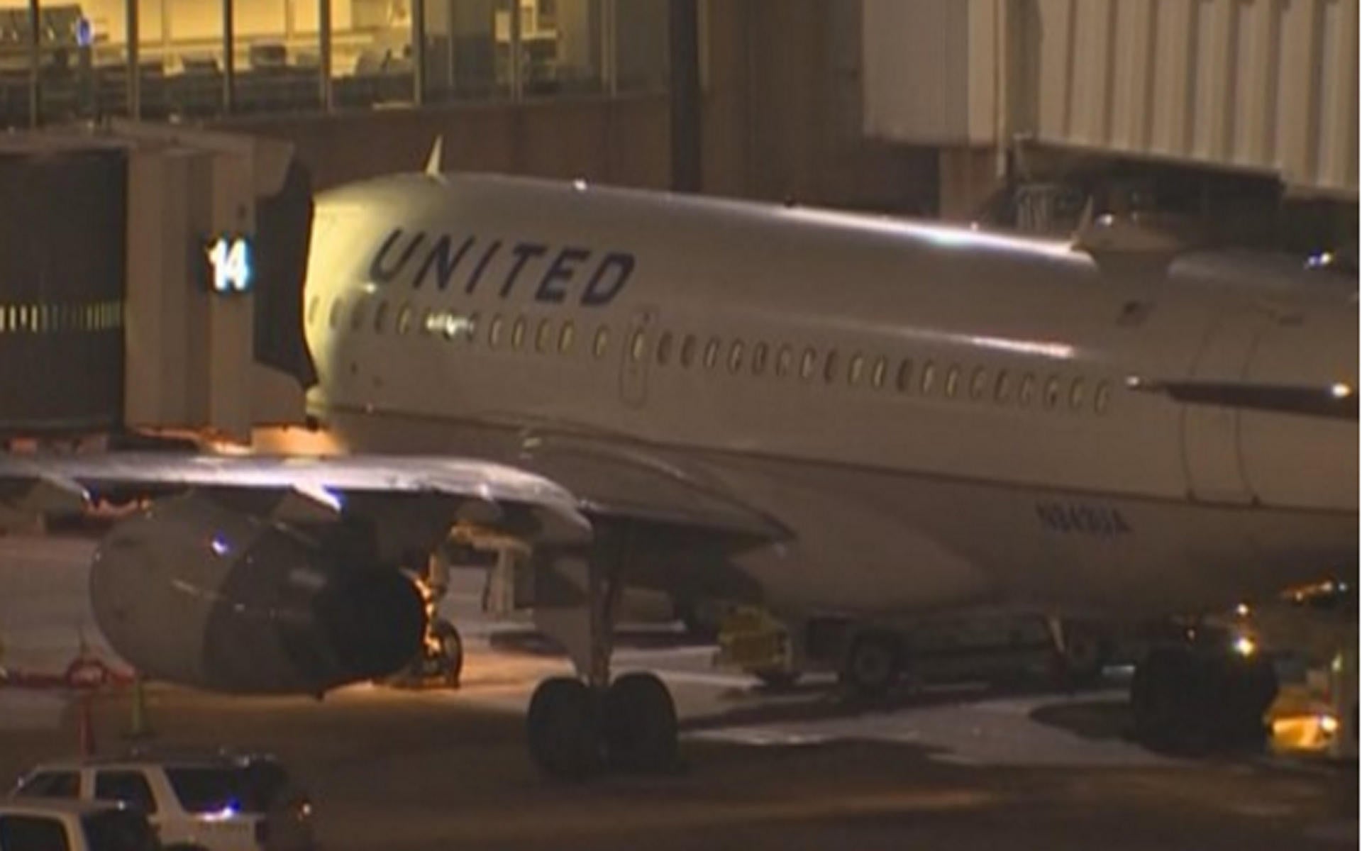 Strange Noises From Cargo Hold Prompt United Airlines Jetliner To Make 