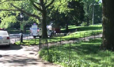 Body found floating in pond in New York's Central Park - CBS News