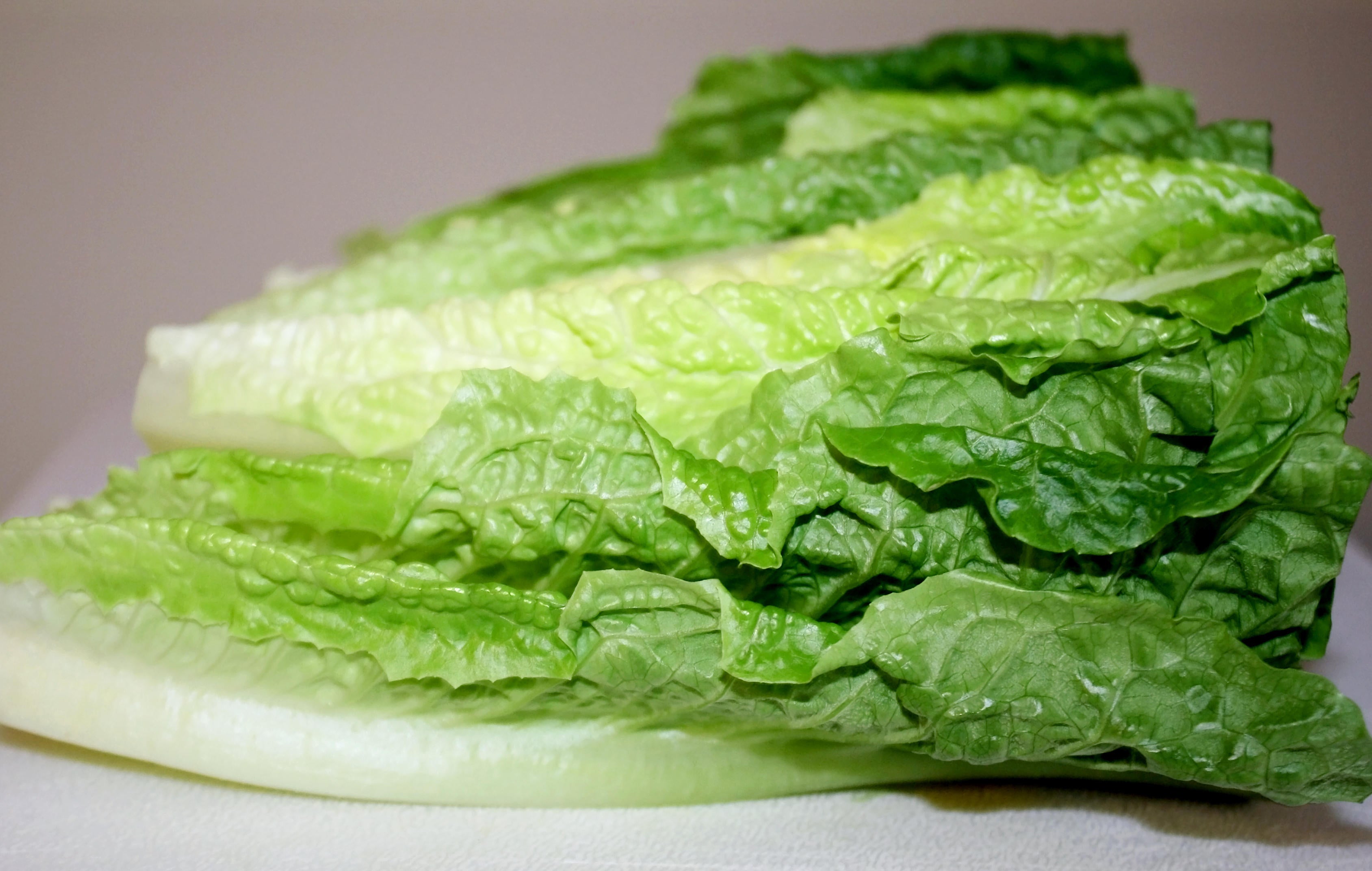 CDC warns not to eat romaine lettuce amid new E. coli outbreak; no