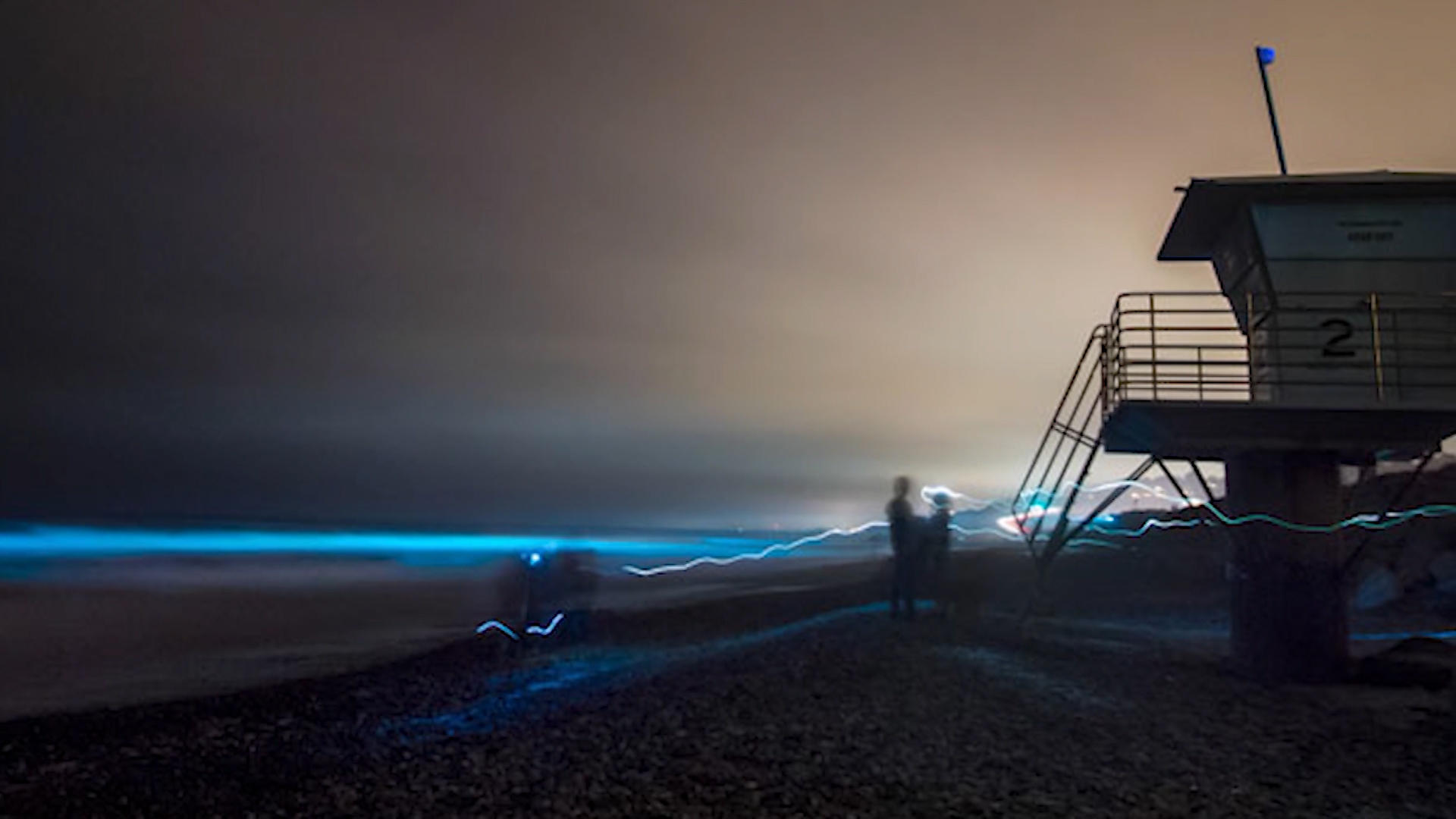 Sea sparkles; a bioluminescent algae turning the surf light blue