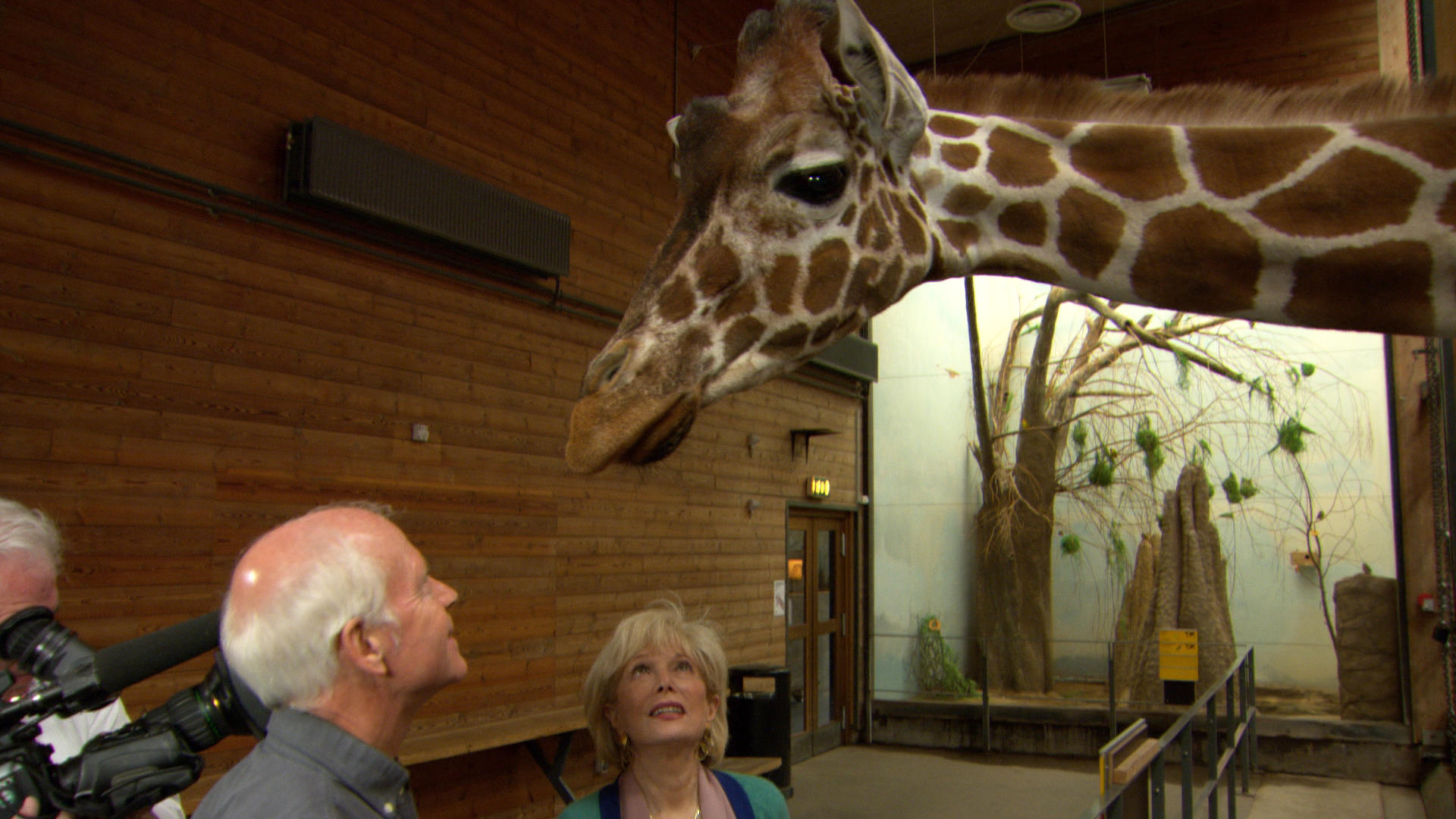 Are zookeepers playing God? - CBS News