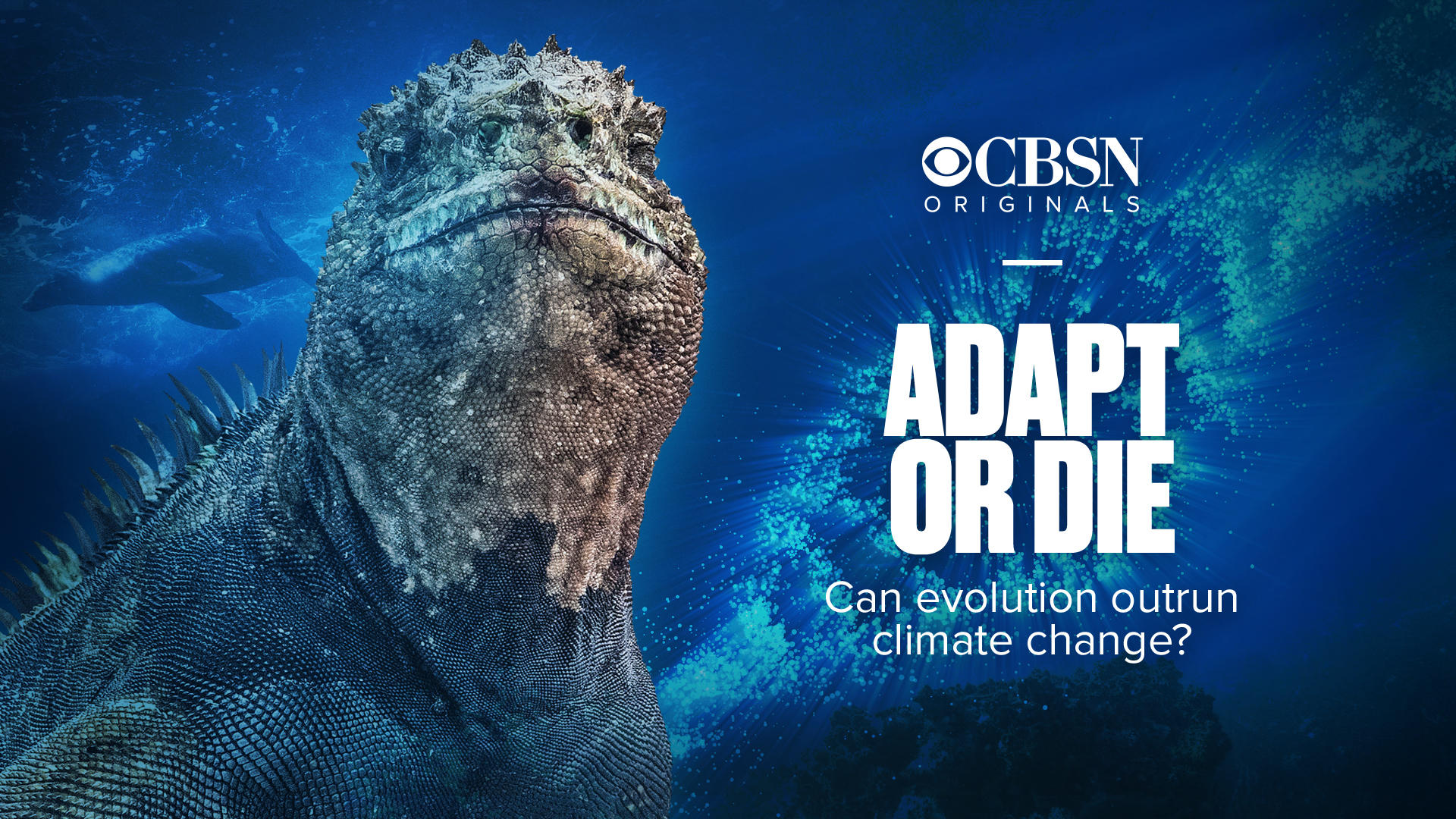 Adapt or die: Can evolution outrun climate change? - CBSN Originals - CBS  News