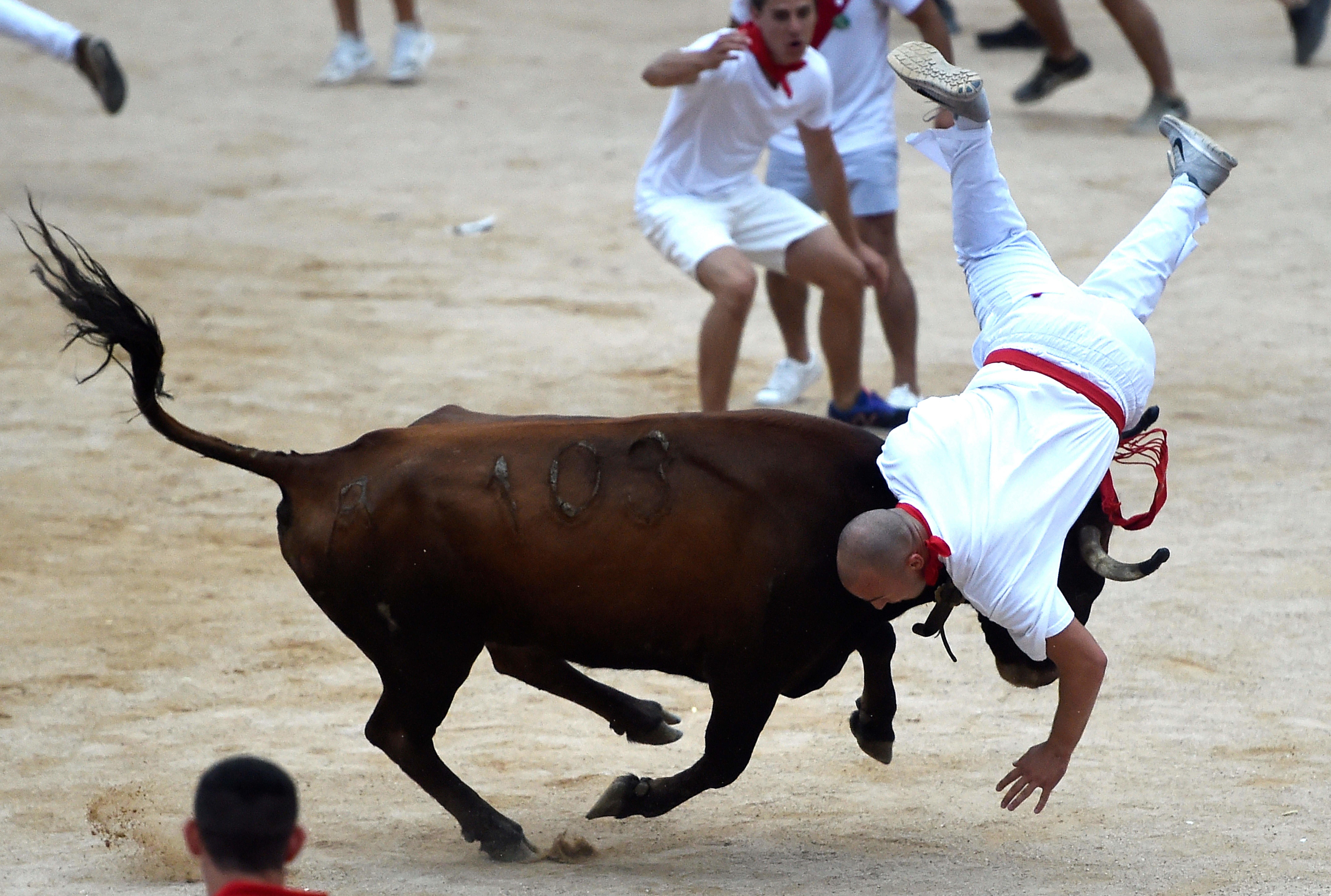 Frequently Asked Questions about Running of the Bulls