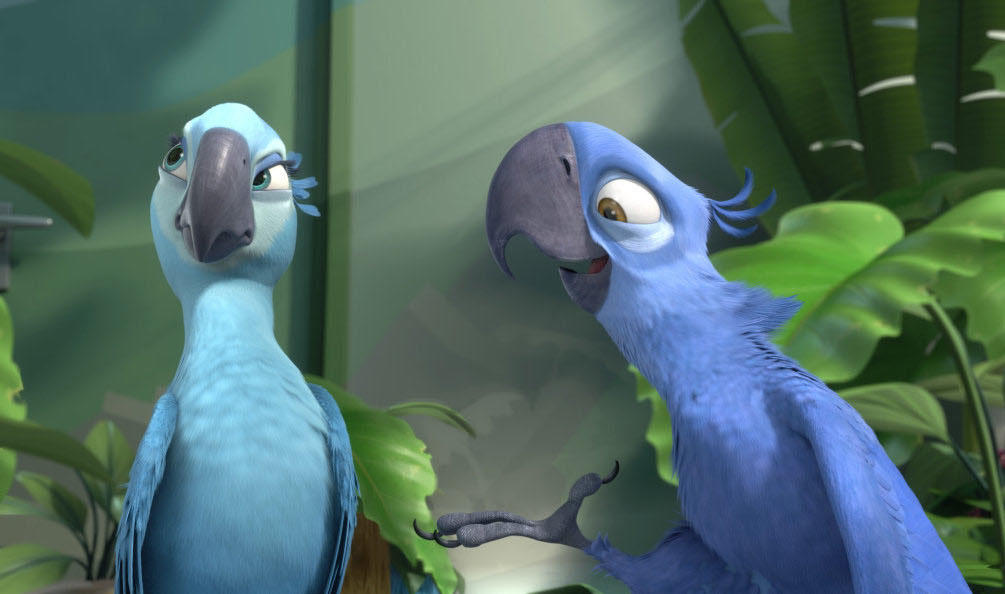 Blue macaw parrot that inspired "Rio" is now officially extinct in the wild - CBS News