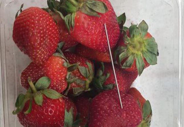 Strawberries Support - Temu Australia