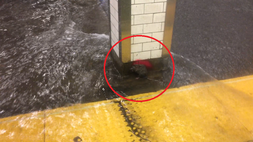 subway nyc flood