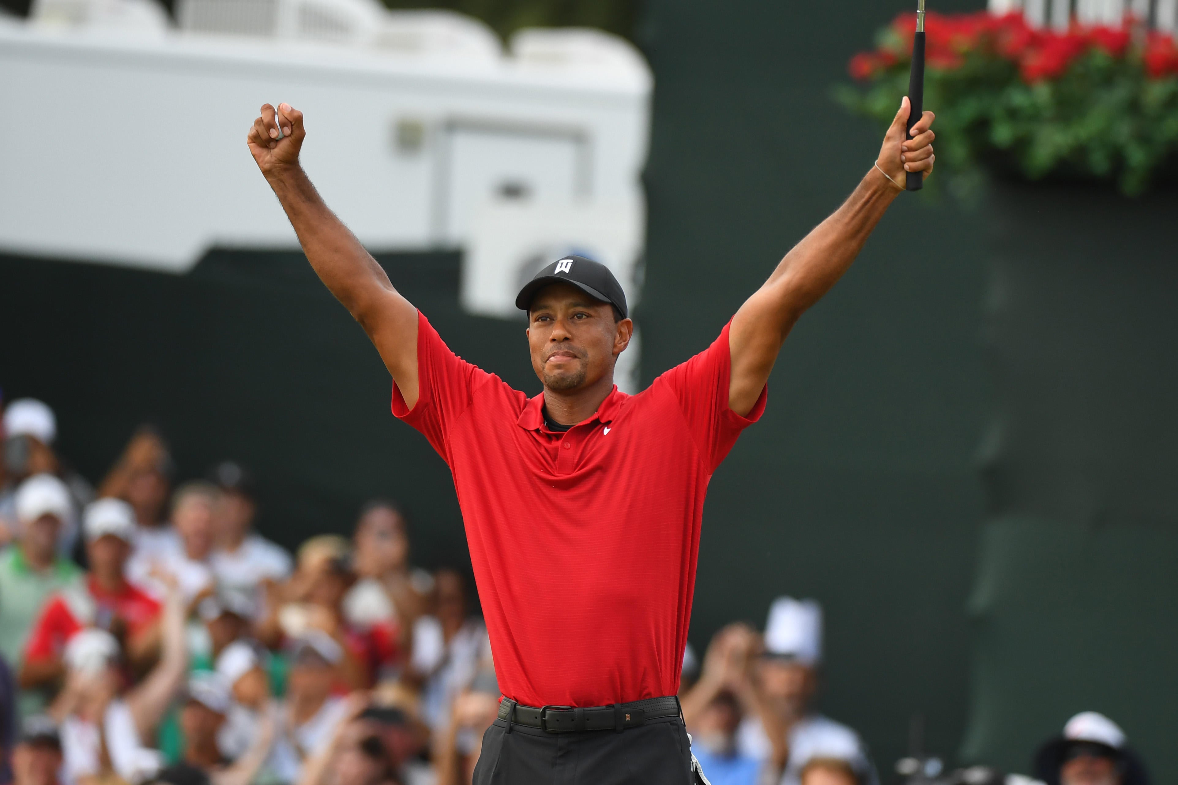 tiger woods pga tour earnings