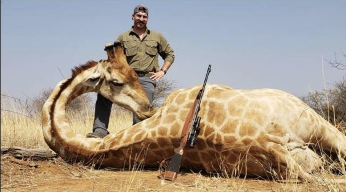 Blake Fischer, Idaho Fish and Game commissioner, resigns over photos of  baboons, giraffe and other animals killed on African hunting trip - CBS News