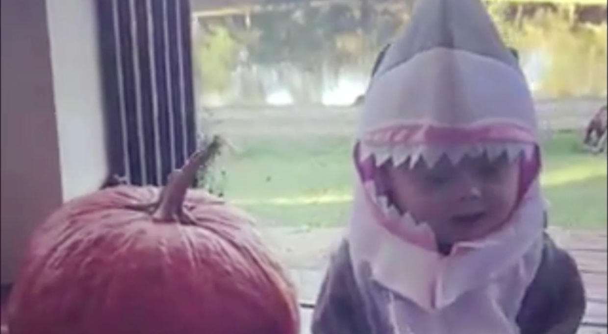 Alabama boy with Down syndrome goes viral in "Baby Shark" Halloween