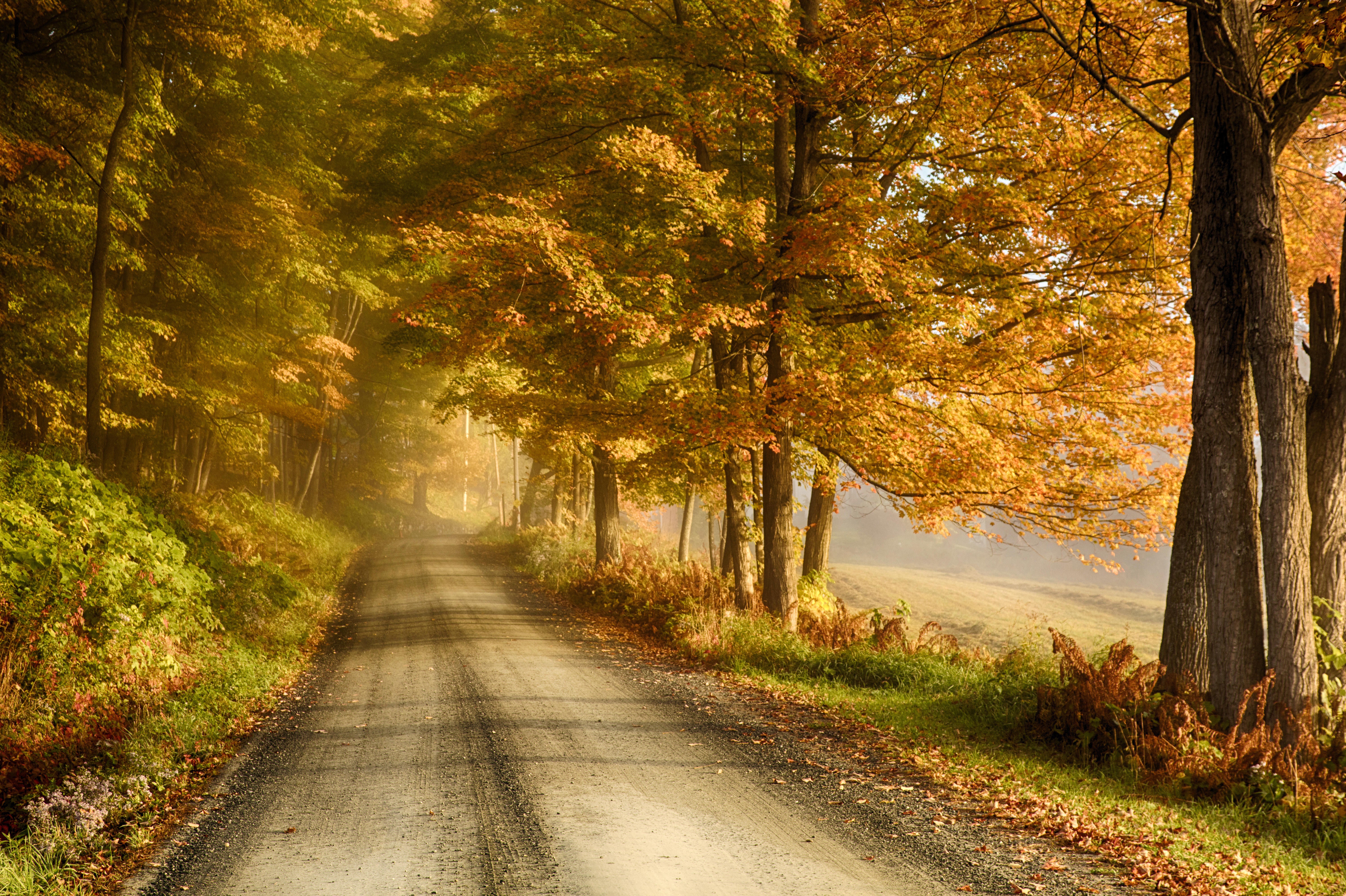 Vermont Country Stores - New England Fall Foliage