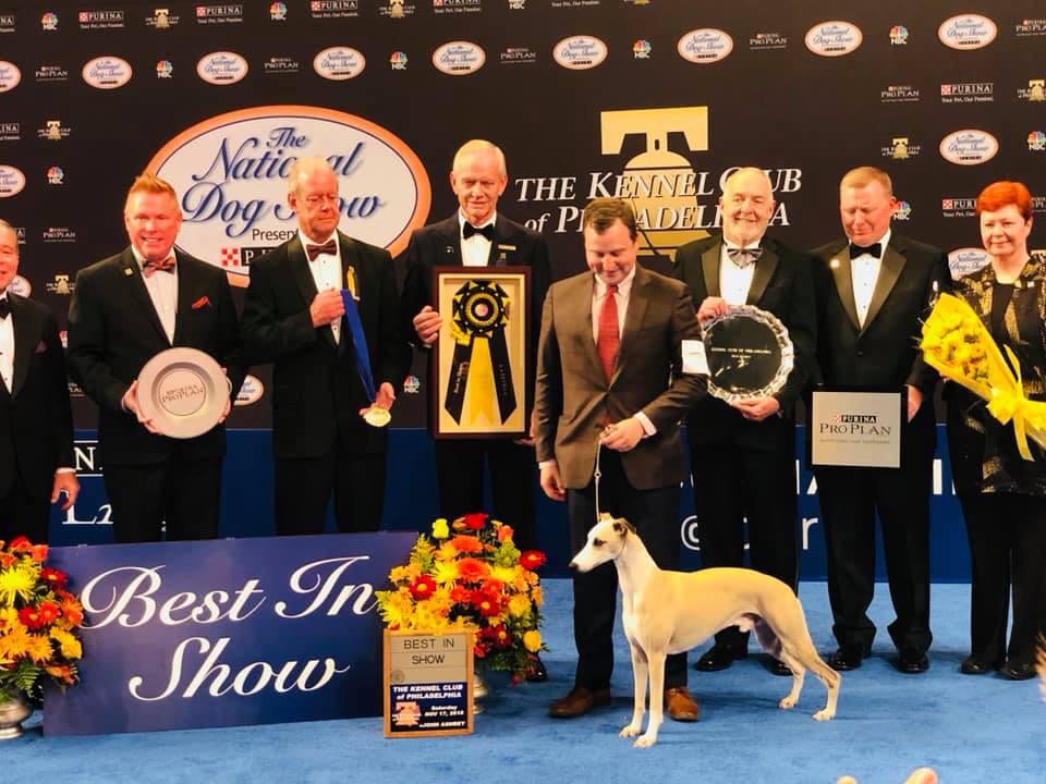 which dog won the national dog show