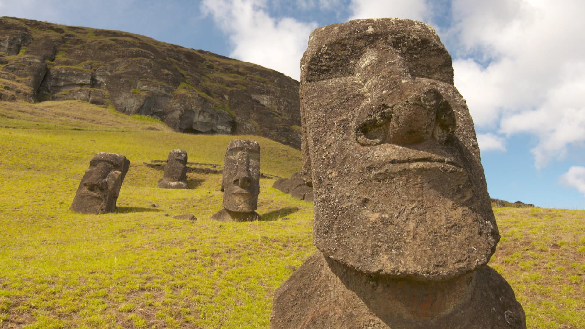 Easter Island Moai Head-6ft Sculptures In Australia