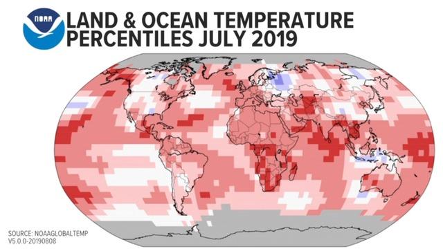 Climate change: July was the hottest month ever recorded on Earth, NOAA ...