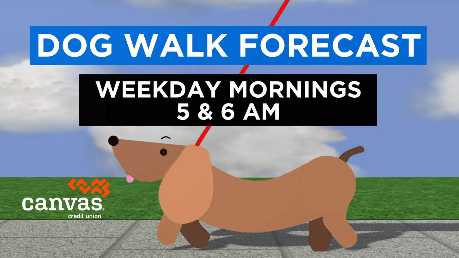 Dog Walk Forecast - CBS Colorado