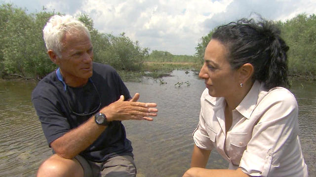 Jeremy Wade on the swimming success of "River Monsters" - CBS News