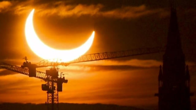 フラワー・リース Nightmoon 楽天市場】【2024年】mamawreath ママーリース フラワーギフト