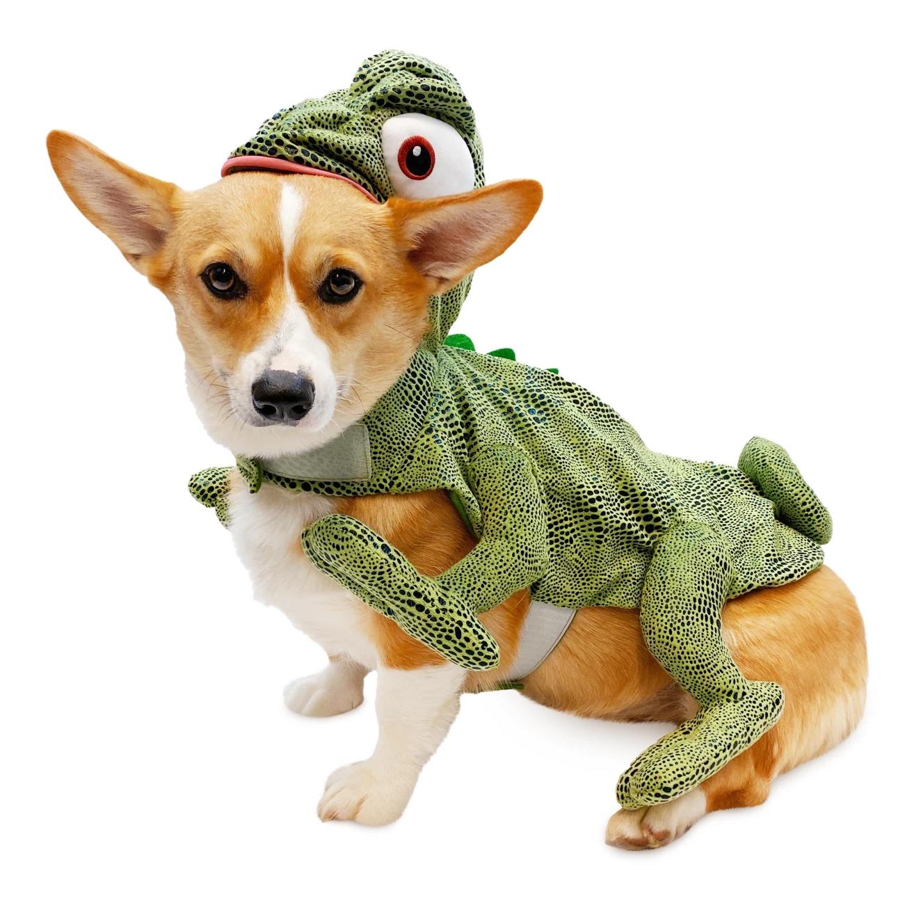 Disney Pascal Pet Costume 