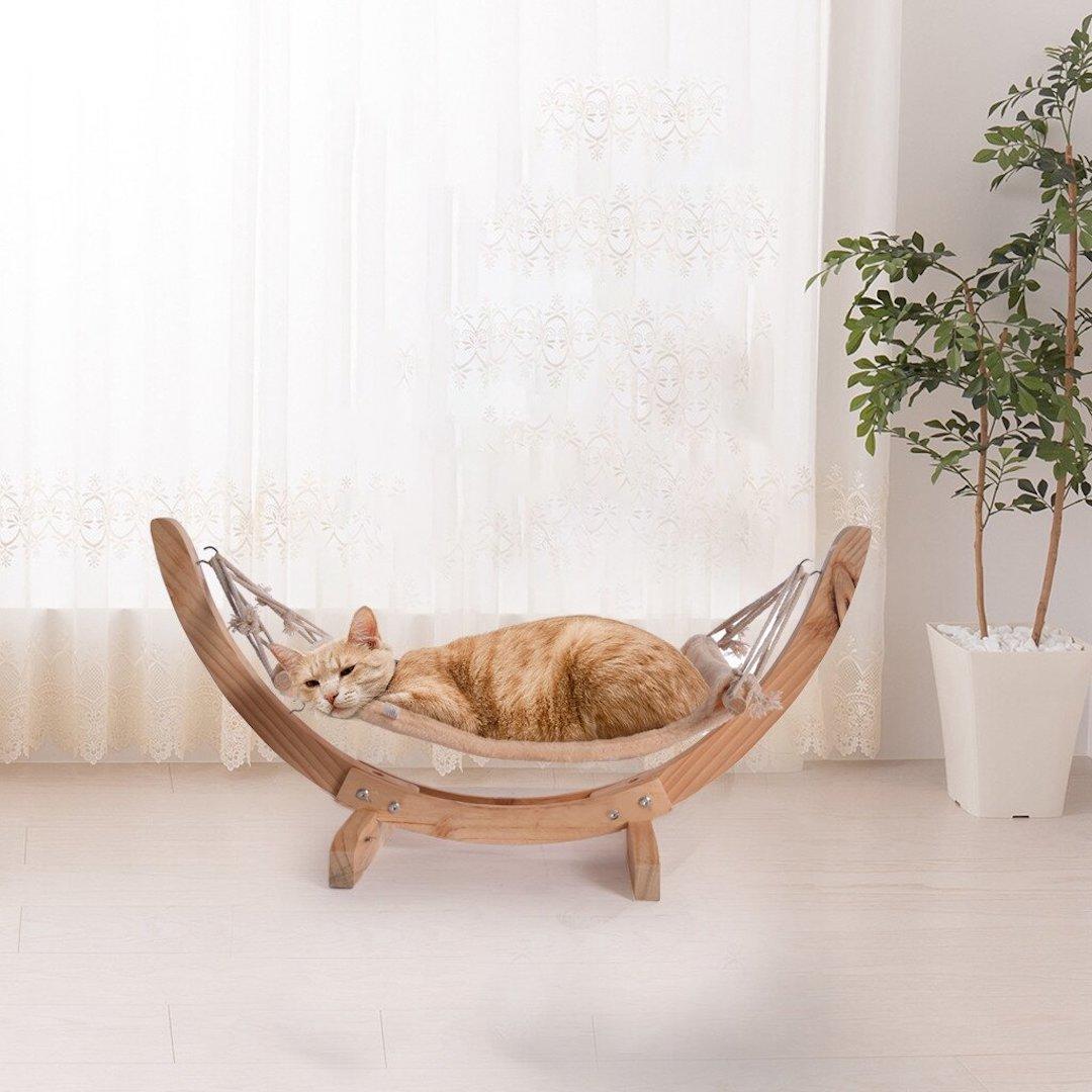 Tucker Murphy Pet Nyberg specialty cat bed 