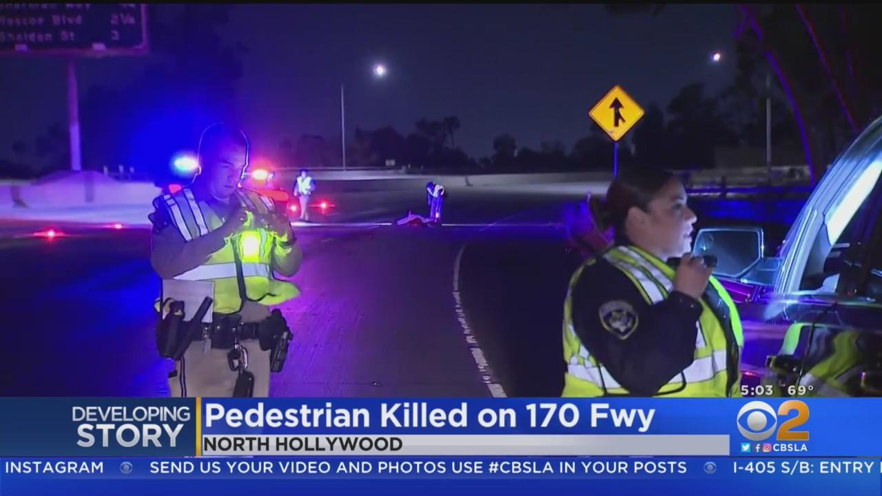 Pedestrian killed after being hit by 4 cars on 170 Freeway in North ...