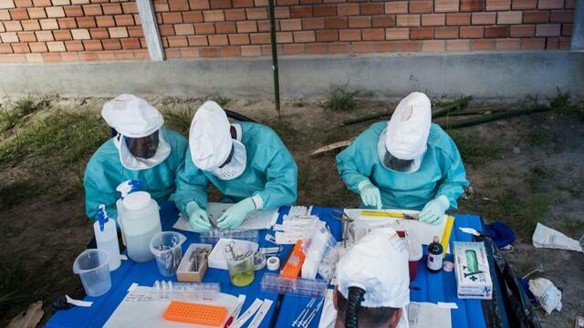 How monkeypox spreads and why current cases are something "we've never ...
