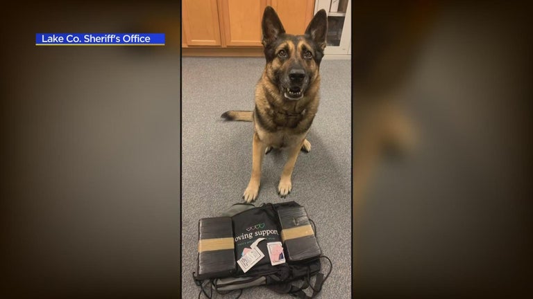 Man facing charges after Lake County Sheriff's K9 finds over 2 ...
