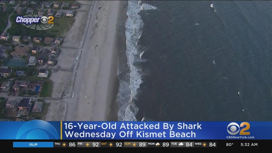 Teenage surfer bitten by shark off Fire Island, Suffolk County