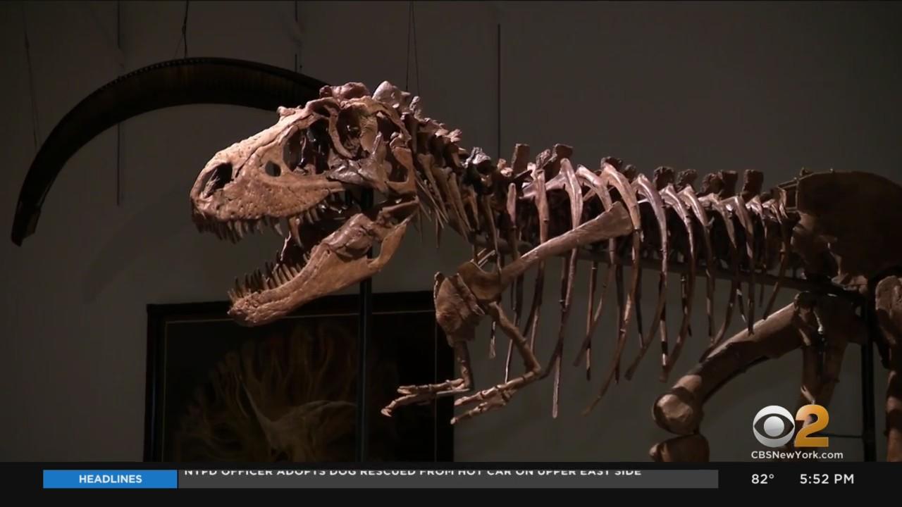 77 million-year-old dinosaur skeleton sells for over $6